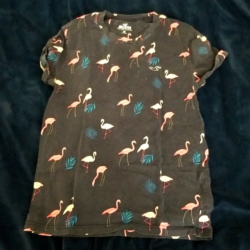 Hollister crewneck flamingo shirt